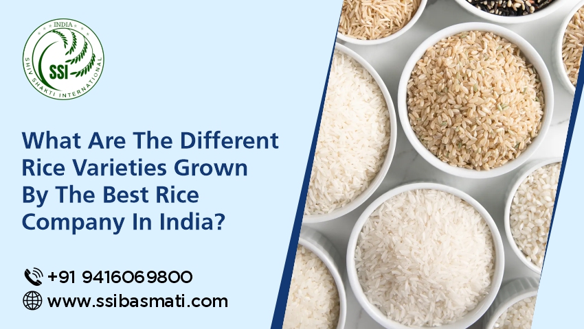 What Are The Different Rice Varieties Grown By The Best Rice Company In India? 